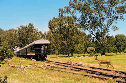 World Class Rovos Rail From £8499pp >
